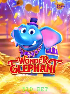 Descubra Tudo Sobre o Jogo 'WonderElephant' e a Estratégia '510 BET'